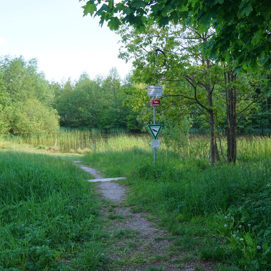 Teich und Seggenried Zimmerschlag