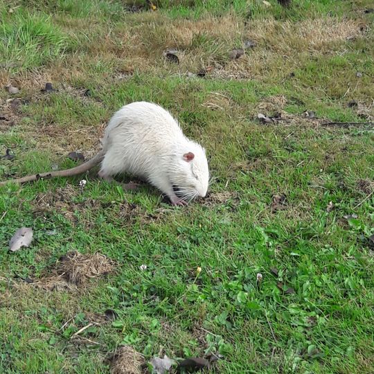 Golf de la Vallée de Germigny