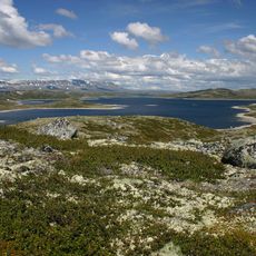 Hardangervidda-Nationalpark