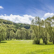 Twiste mit Wilde, Watter und Aar