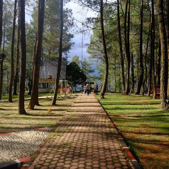 Sipinsur Park Geosite and Pine Forest