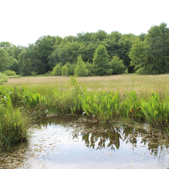 Volksdorfer Teichwiesen