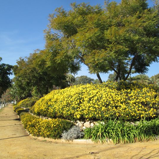 Jardínes Alberto Suárez Pipi
