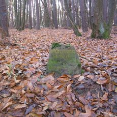 Ritterstein 16 "Krönungsbusch"