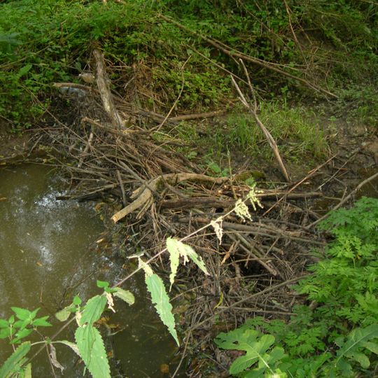 Nature reserve Bobry w Uhercach