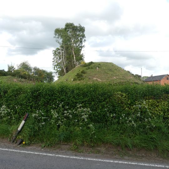 Motte and bailey castle and line of Offa's Dyke adjacent to Brompton Mill