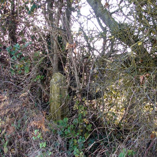 Cross Shaft 250 Metres West Of Park Farm