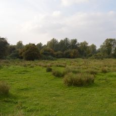 Henlow Common and Langford Meadows