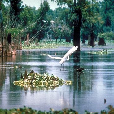Insectari e centri di natura per osservare piccole creature