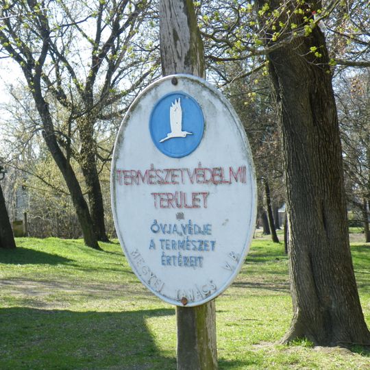 Palóc liget, Balassagyarmat