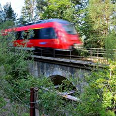 Brücke zw. Hartlesklammbach-Br. u. Rottenunterkunft Gießenbach