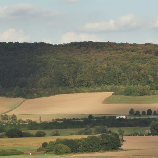 Quast bei Diemelstadt-Rhoden