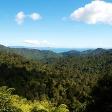 Coromandel Forest Park