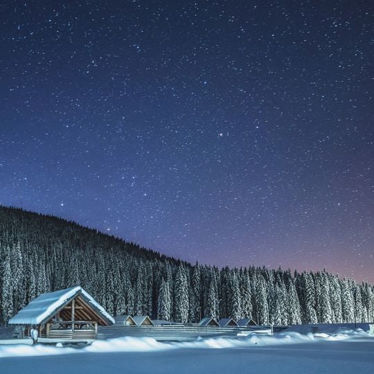 Monti della Pokljuka