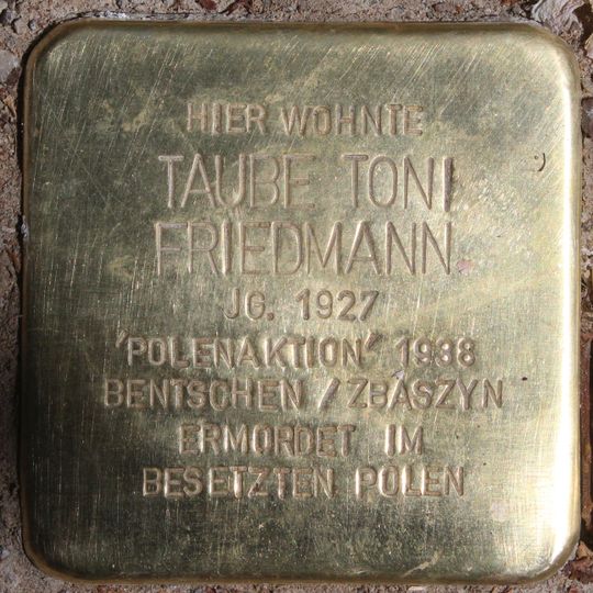 Stolperstein em memória de Taube Toni Friedmann