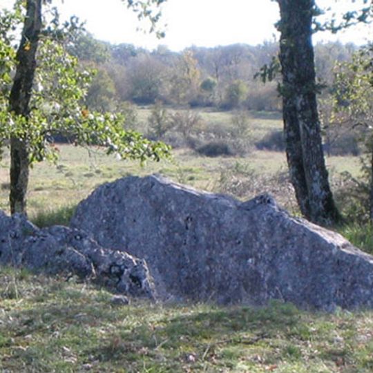 Dolmen des Plassous