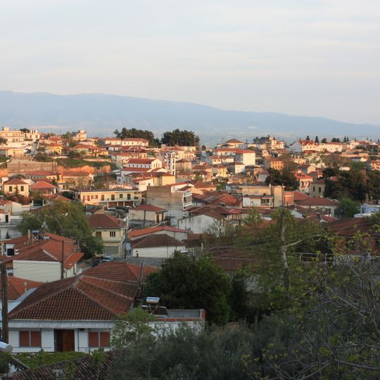 Nea Zichni Municipality