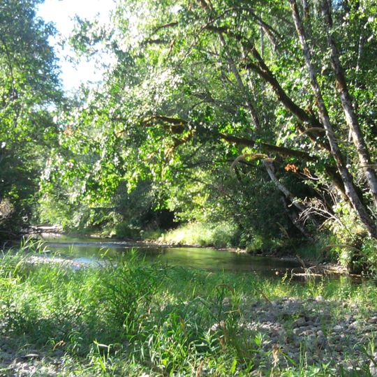 Wishkah River