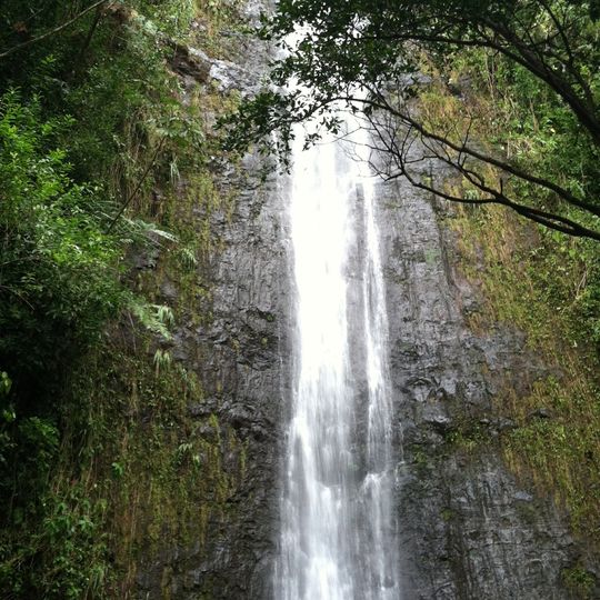 Manoa Falls
