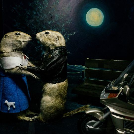 Torrington Gopher Hole Museum