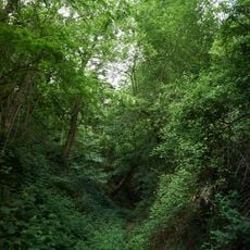 Ehemaliger Schilfsandsteinbruch