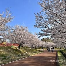 Kayoichō Park
