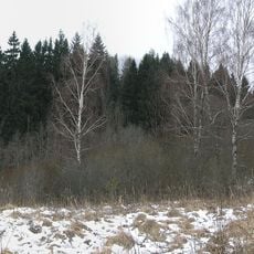 Marijampolio piliakalnis