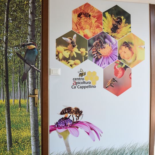 Museo delle Api - Centro Apicoltura di Ca' Cappellino