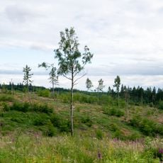 Naturschutzgebiet Eggekamm