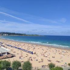 Sardinero