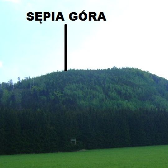Sępia Góra