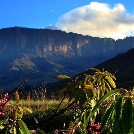 Guayana natural region