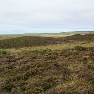 Knowes of Trotty,mounds S of Netherhouse,Huntscarth