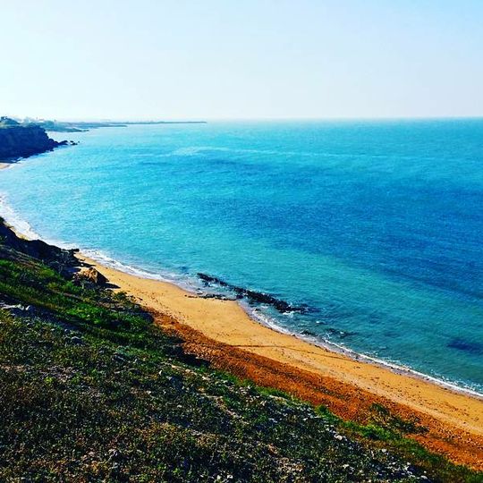 Shahrestān di Bushehr