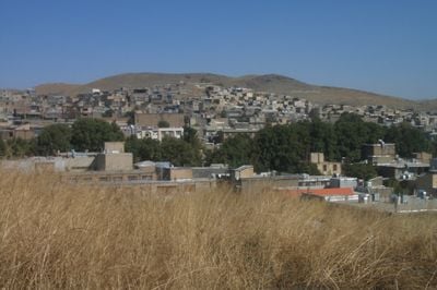 The view 1