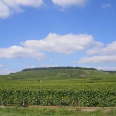 Réserve naturelle nationale des pâtis d'Oger et du Mesnil-sur-Oger