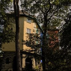 Dolphin (Including Royal Dolphin)