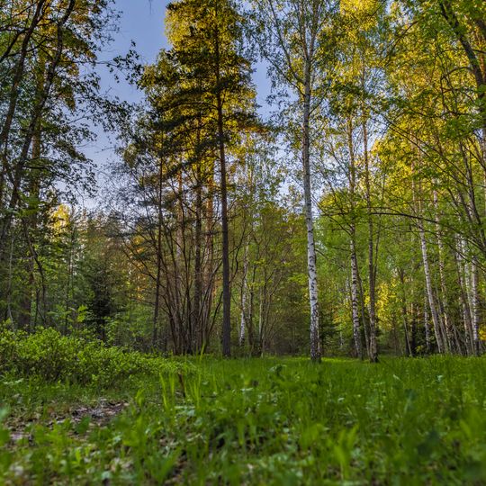 Lugnets naturreservat