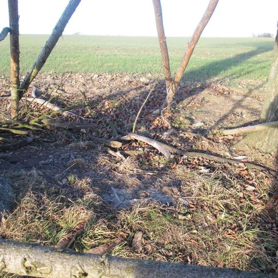 Kříž východně od Horního Valdorfu u stromu