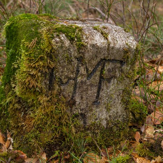 Grenzstein Fürther Stadtwald in Fürth