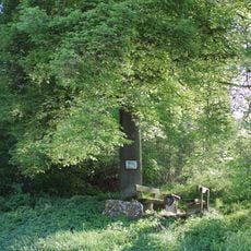 Linde und Rotbuche Burkel