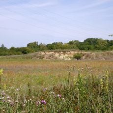 Naturschutzgebiet Im Dulbaum bei Alsbach