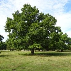 Väsby hage Nature Reserve