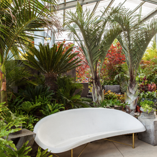 Flora Grubb Gardens