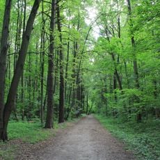 Bitsa Park