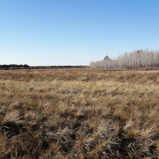 State Forest Nature Reservat "Ertis Ormany"