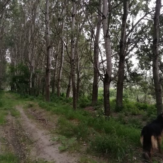 Po di Pieve Porto Morone