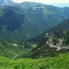 Veľká brdárova grapa