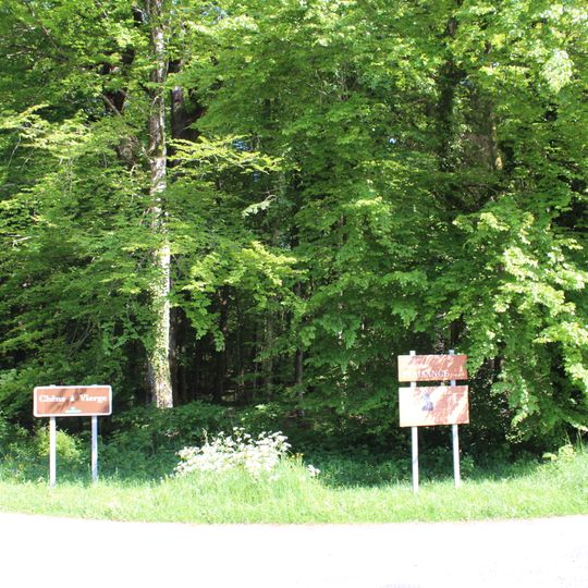 Forest of Chaux