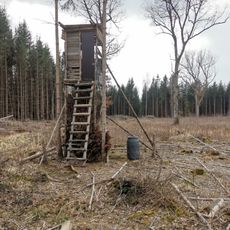 Kreuzlinger Forst